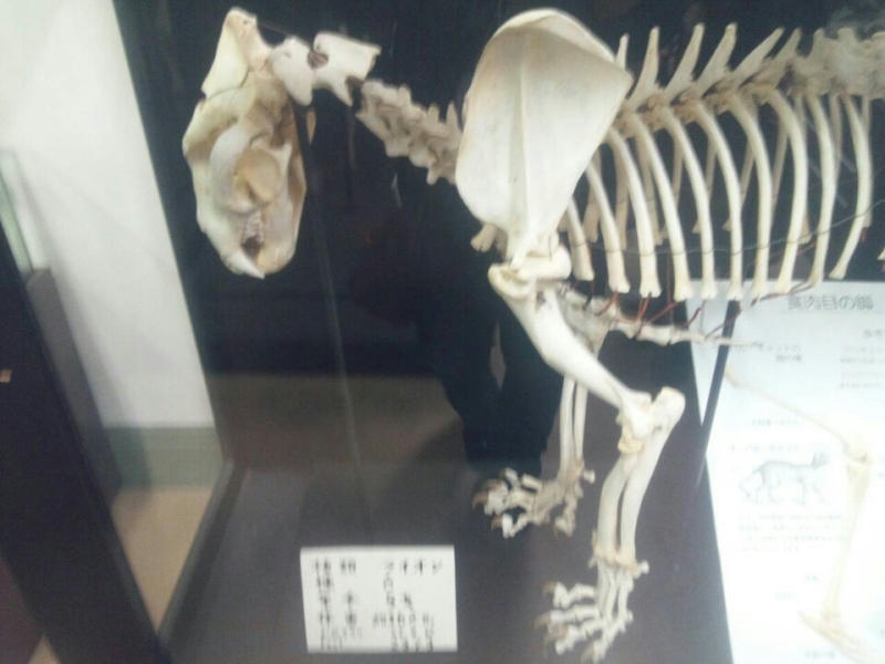 o0800060013257600610