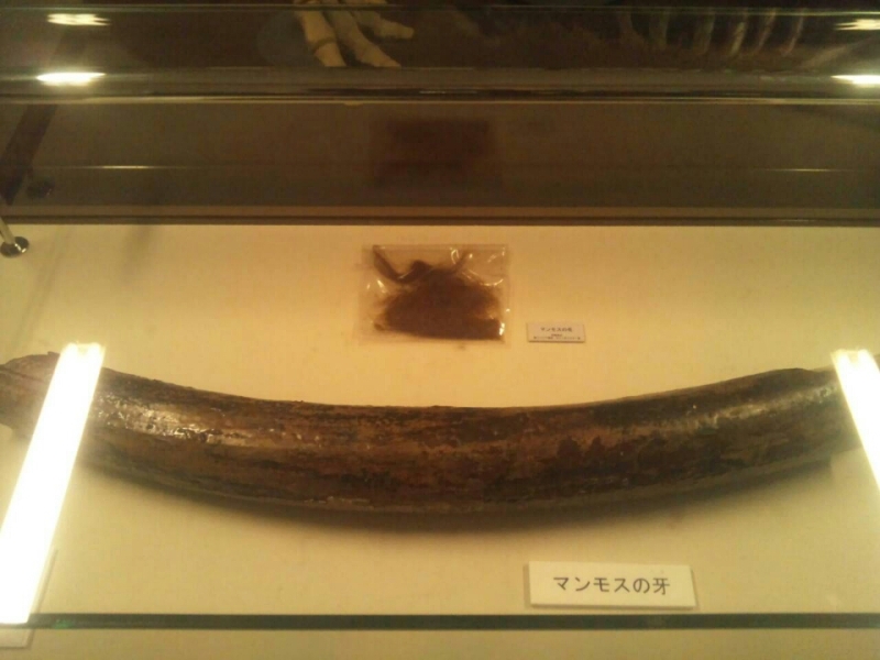 o0800060013257600643