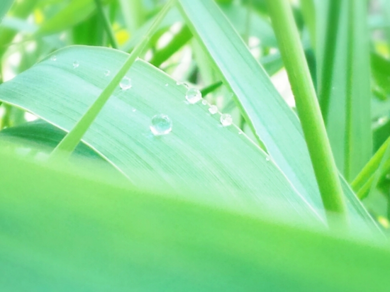 o0800060013402595506