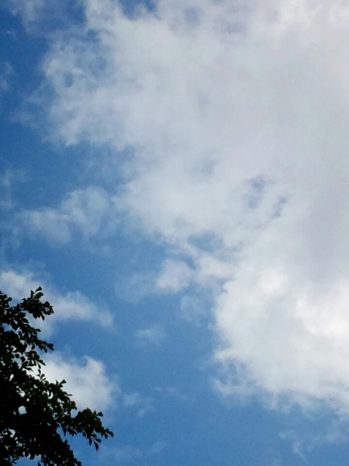 o0720096013418793723